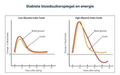 Stabiele bloedsuikerspiegel en energie